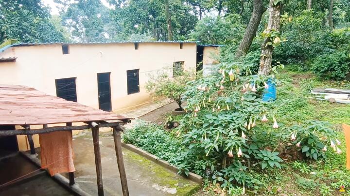 Amarkantak 3