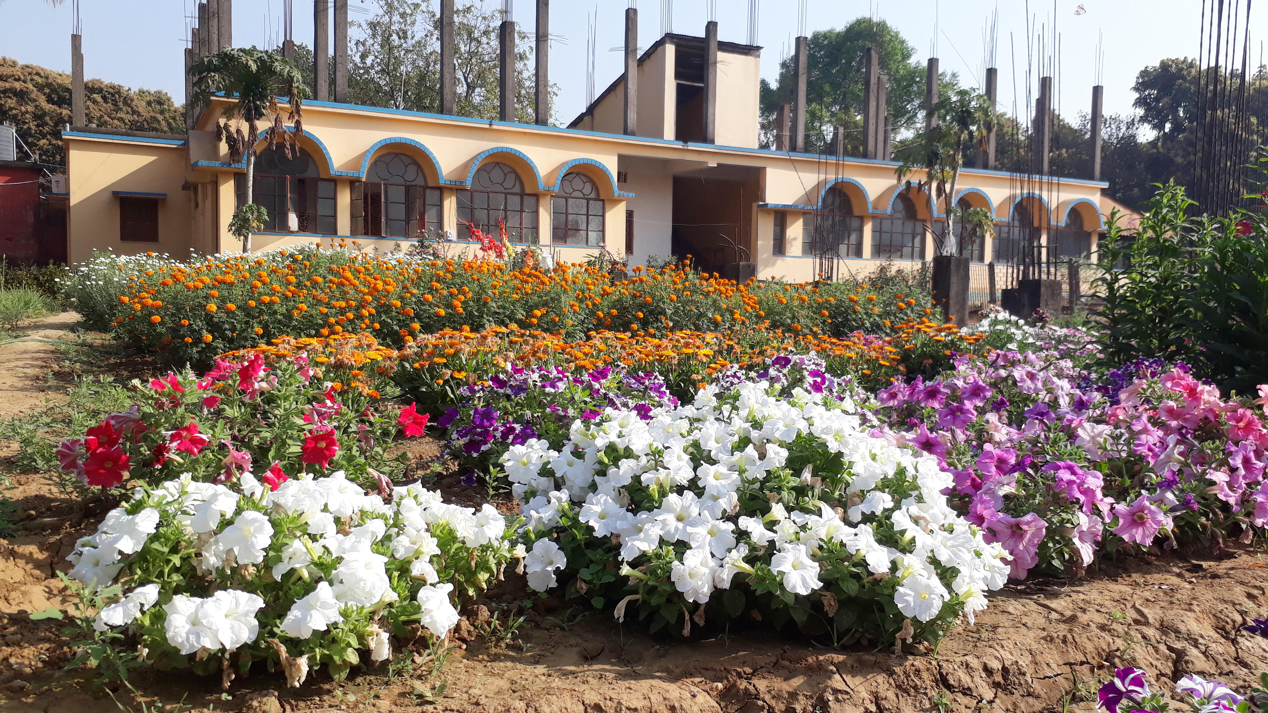 BSS Ghatshila, Jharkhand branch